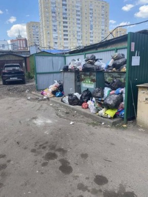 Крысы размером с кошку заполоняют центр Воронежа из-за обильного скопления мусора