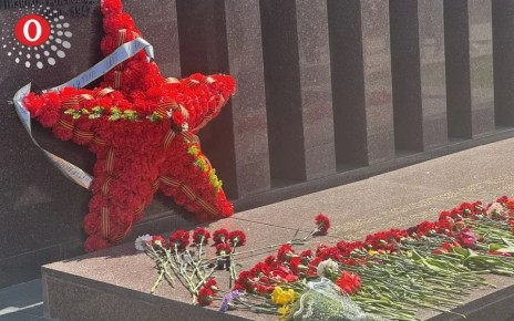 Воронежцы празднуют День Победы!