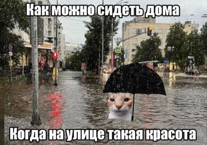 ������� ��� � �������� ����� ��������� � ���������