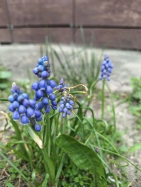 �� ��� �� ��� � ������ �� � ������