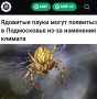 ��������� ����� ����� ��������� � ����������� ��-�� ��������� �������: �������� ��������� ����� ������ �� ����������� �������