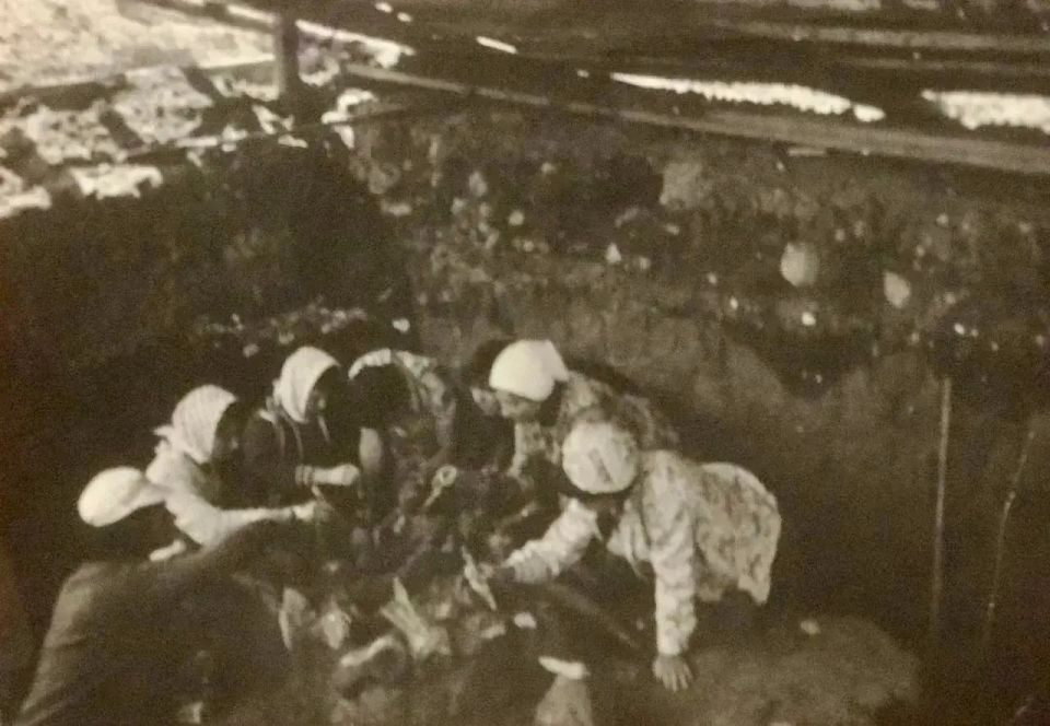Музей-заповедник «Костенки» присоединился ко всероссийской «Ночи музеев» Музей-заповедник «Костенки» присоединился ко всероссийской «Ночи музеев»