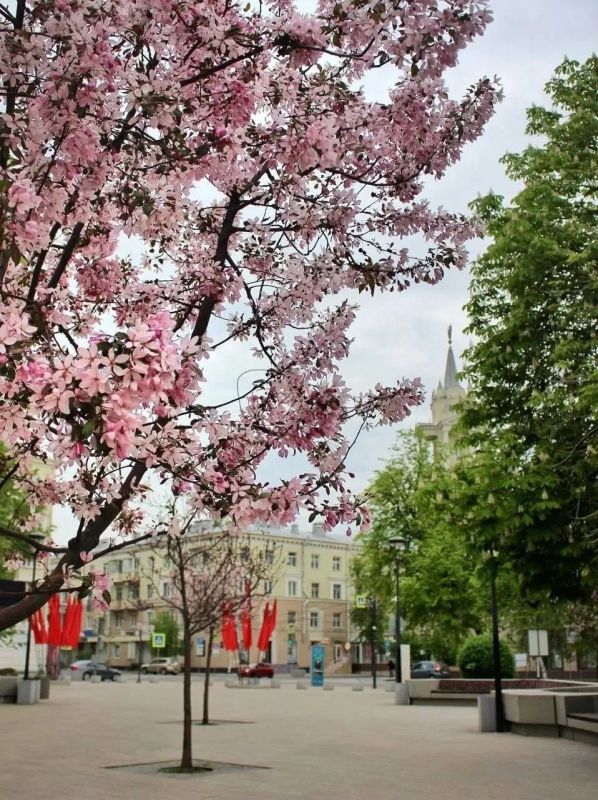 Наслаждаемся весенним городом Наслаждаемся весенним городом