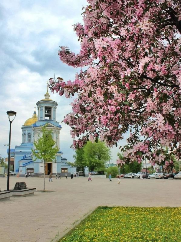 Наслаждаемся весенним городом Наслаждаемся весенним городом