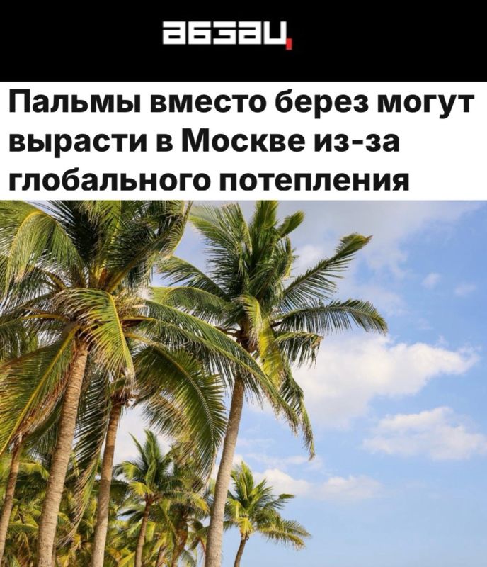 «Пальмы вместо берез могут вырасти в Москве из-за глобального потепления»: Москва может превратиться в Сочи
