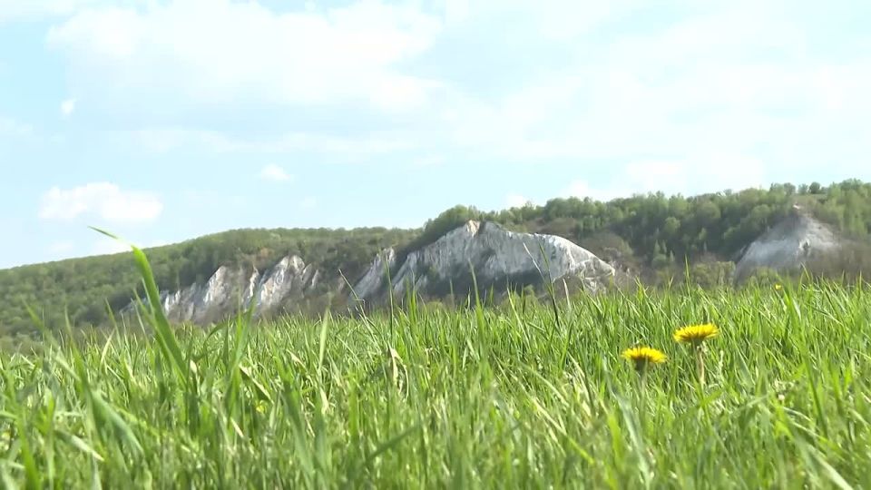 Из города-миллионника в село