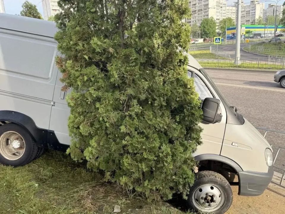 Воронежскими полицейскими задержана жительница Рязанской области по подозрению в угоне автомобиля