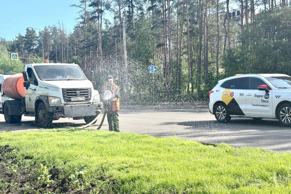 В Железнодорожном районе продолжается ежедневный уход за газонами В Железнодорожном районе продолжается ежедневный уход за газонами