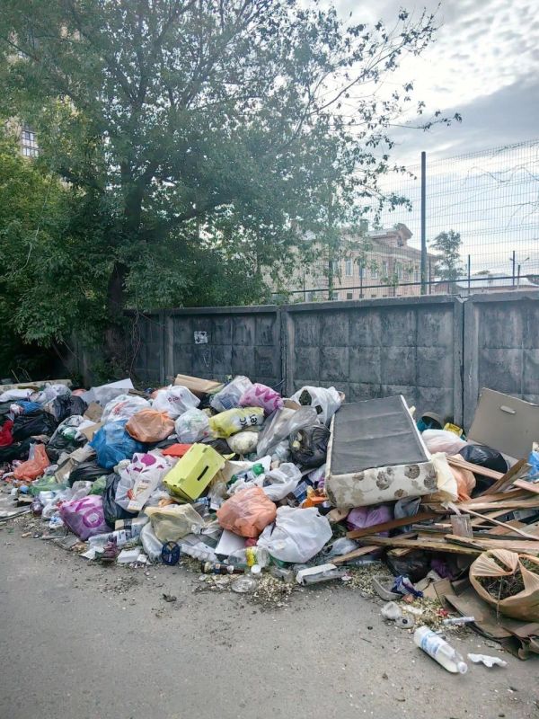 «Ситуация только усугубляется»: еще пять эпичных свалок развалились на дорогах Воронежа «Ситуация только усугубляется»: еще пять эпичных свалок развалились на дорогах Воронежа