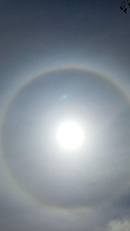 Прямо сейчас воронежцы могут полюбоваться солнечным гало Прямо сейчас воронежцы могут полюбоваться солнечным гало
