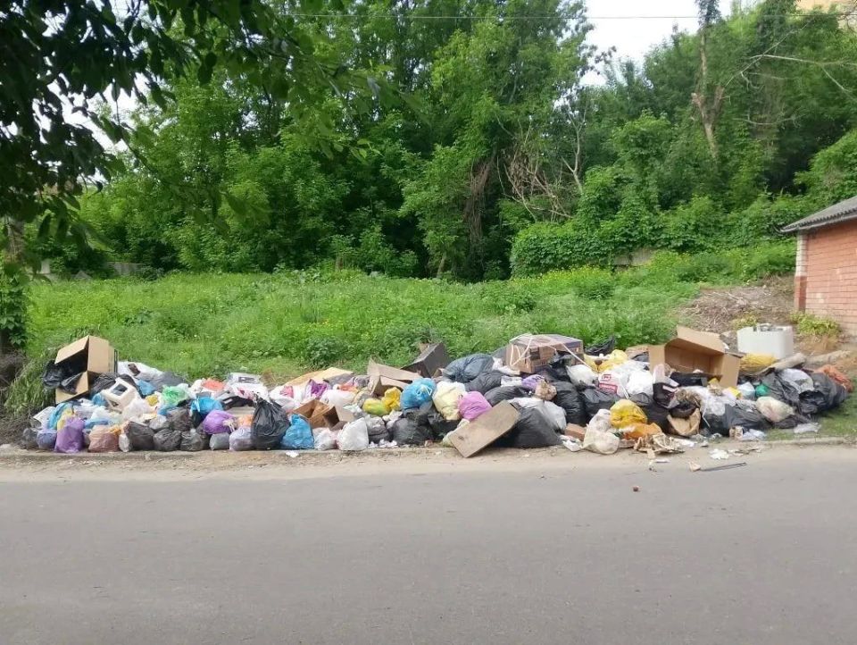 «Ситуация только усугубляется»: еще пять эпичных свалок развалились на дорогах Воронежа «Ситуация только усугубляется»: еще пять эпичных свалок развалились на дорогах Воронежа