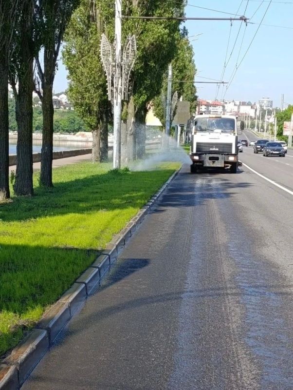 Ежедневный труд на благо района: как работает Комбинат благоустройства