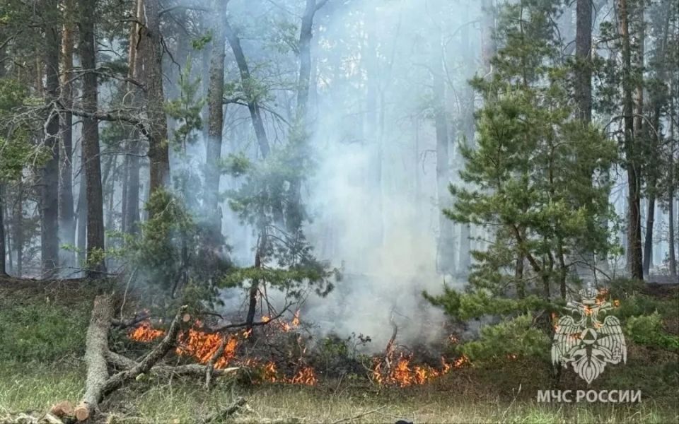 Еще на сутки продлили оранжевый уровень опасности из-за высокой вероятности ландшафтных пожаров в Воронежской области