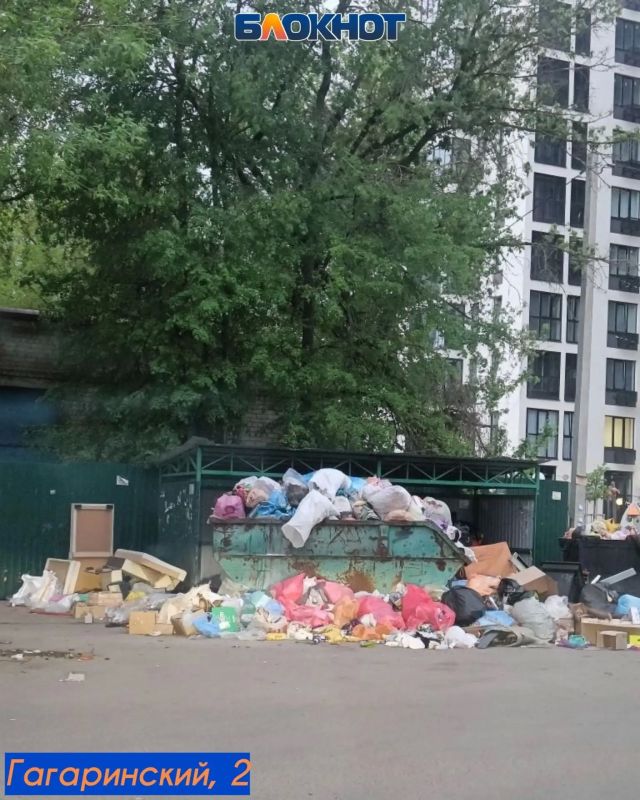 «Одна организация кивает на другую»: контейнеры в два ряда, гнилые овощи с рынка и полугодовая свалка на Коммунаров «Одна организация кивает на другую»: контейнеры в два ряда, гнилые овощи с рынка и полугодовая свалка на Коммунаров