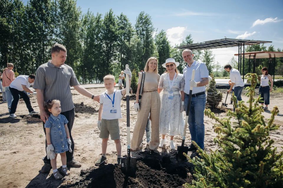 На Петровской набережной появилась аллея серебристых елей На Петровской набережной появилась аллея серебристых елей