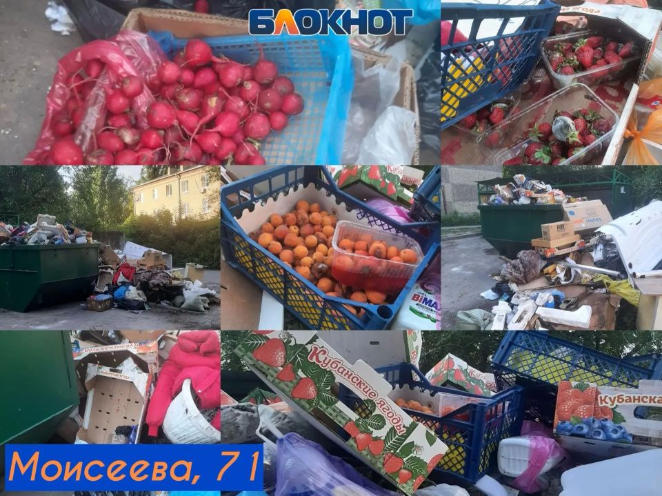 «Одна организация кивает на другую»: контейнеры в два ряда, гнилые овощи с рынка и полугодовая свалка на Коммунаров «Одна организация кивает на другую»: контейнеры в два ряда, гнилые овощи с рынка и полугодовая свалка на Коммунаров