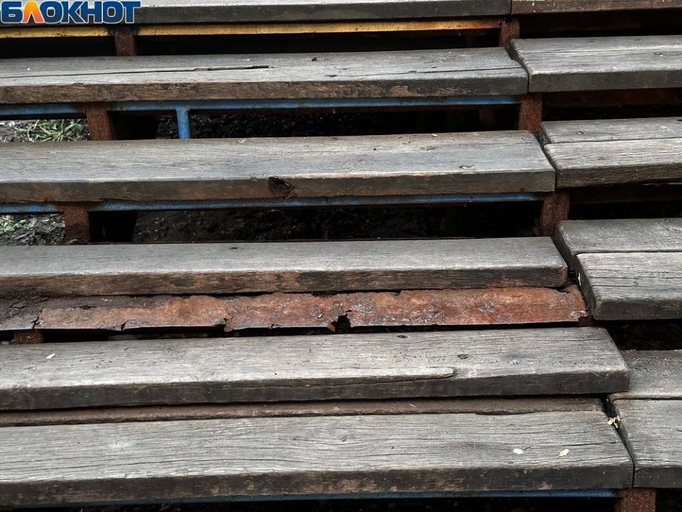 «Страшно наступить»: на аварийную лестницу в Центральном парке пожаловались воронежцы «Страшно наступить»: на аварийную лестницу в Центральном парке пожаловались воронежцы