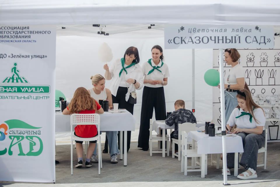 На Петровской набережной появилась аллея серебристых елей На Петровской набережной появилась аллея серебристых елей