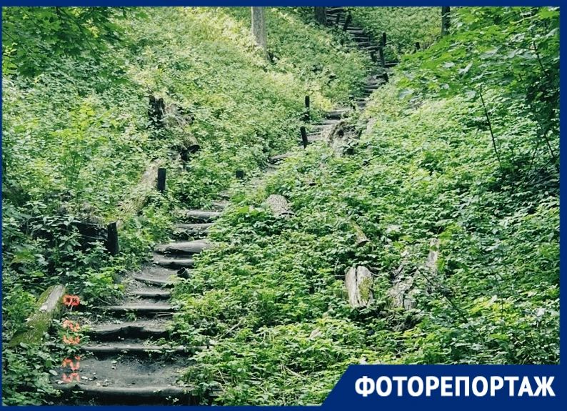 Водная гладь, Белая гора и дуб, который застал Пушкина: как построить маршрут эко-тропы за 0 рублей по окрестностям Воронежа