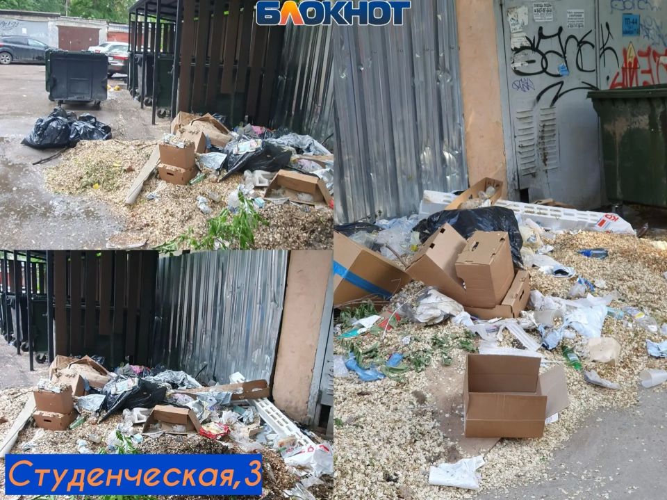 «Одна организация кивает на другую»: контейнеры в два ряда, гнилые овощи с рынка и полугодовая свалка на Коммунаров «Одна организация кивает на другую»: контейнеры в два ряда, гнилые овощи с рынка и полугодовая свалка на Коммунаров