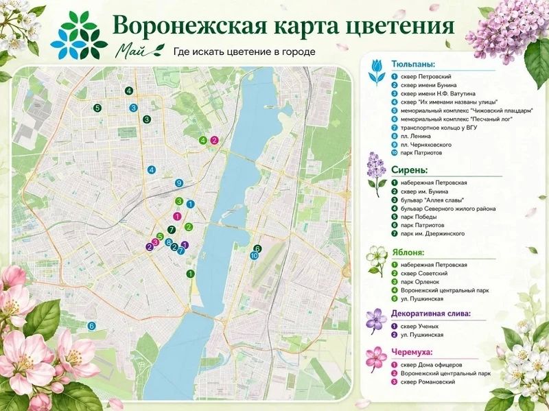 Город-сад: где в Воронеже цветут магнолии, сакуры и сливы, как в знаменитом парке Галицкого Город-сад: где в Воронеже цветут магнолии, сакуры и сливы, как в знаменитом парке Галицкого
