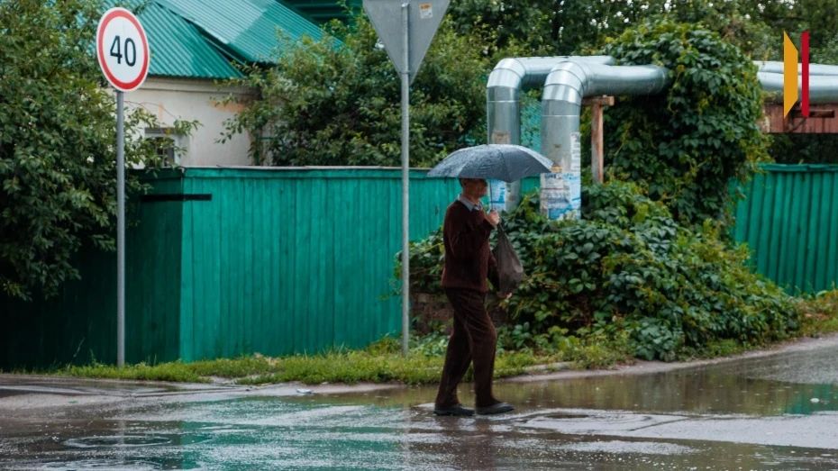 Воронежцев предупредили о грозе, сильном ветре и граде 28 мая