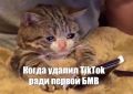 Половина родителей в России готовы платить детям за отказ от соцсетей