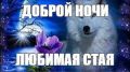 ������ ����!. ������ �������� � ����� ��� ������