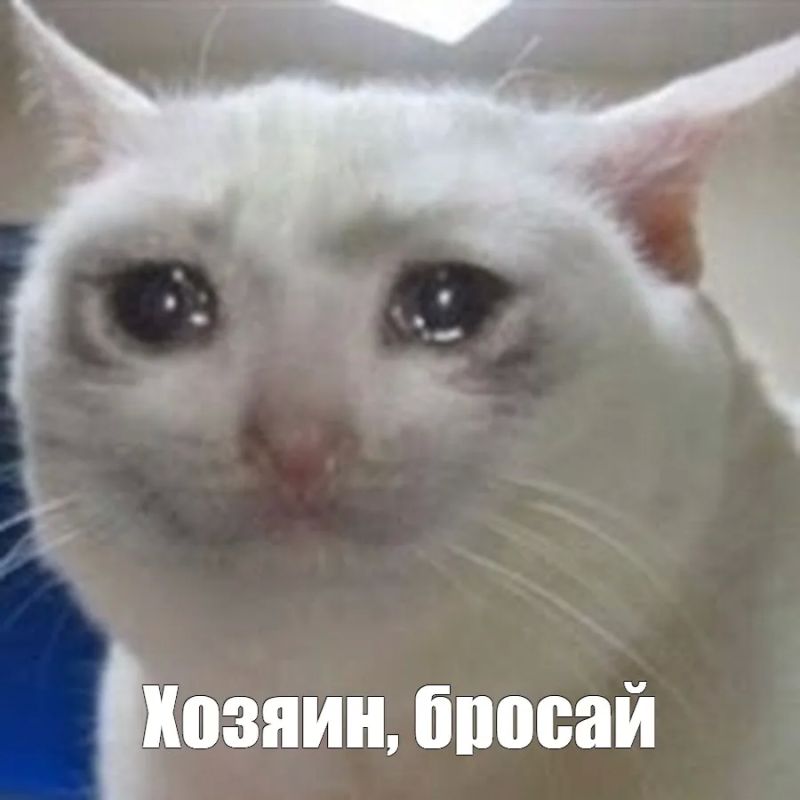 Курение дома вейпов и сигарет убивает домашних питомцев