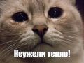 �� +26 �������� ��������� � �������� � �����