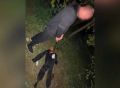 ��������� ������� 16 ��� ������� �� ������������ �������� ��� ����� �������� �� ��������