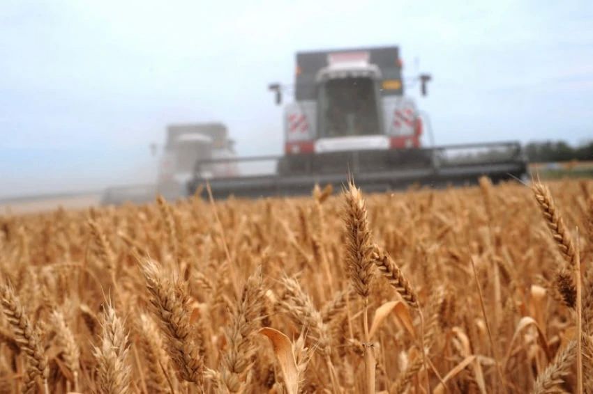 Воронежские аграрии увеличивают экспорт своей продукции