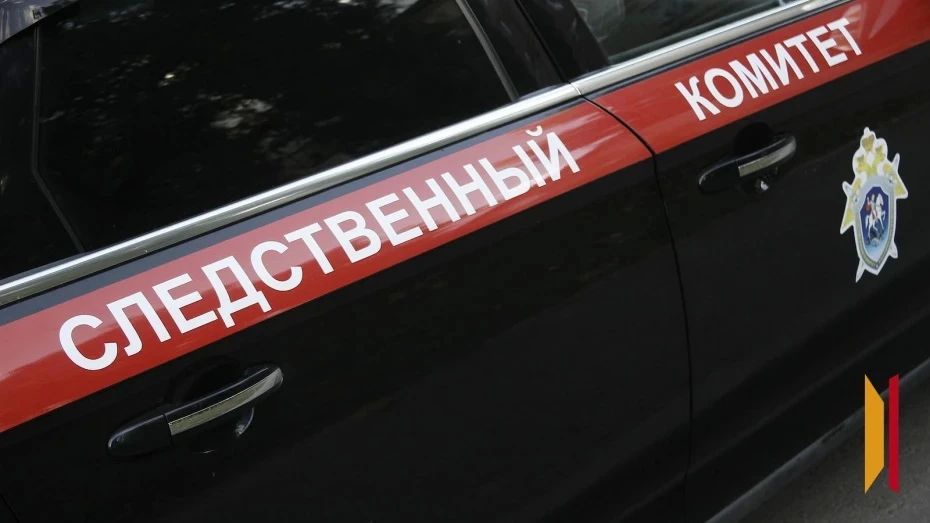 Глава СК заинтересовался делом о чуть не утонувшей в загородном комплексе в Рамонском районе девочке