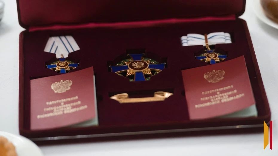 Многодетная воронежская семья получила орден «Родительская слава»