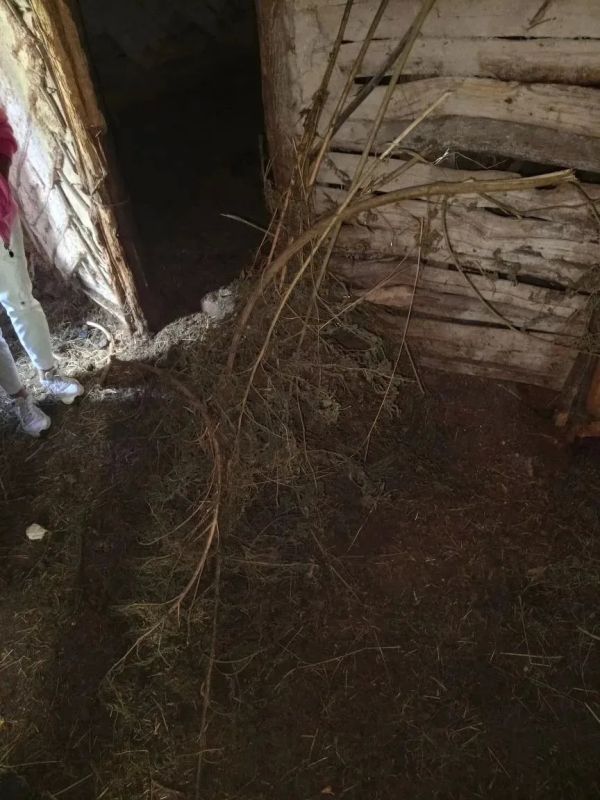 В Семилукском районе полицейскими пресечена деятельность по незаконному обороту наркотиков В Семилукском районе полицейскими пресечена деятельность по незаконному обороту наркотиков