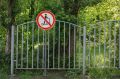 Использование электросамокатов запретили в воронежском парке «Танаис»