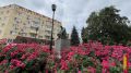 Итоги недели. Что важного произошло в Воронежской области с 8 по 14 июня
