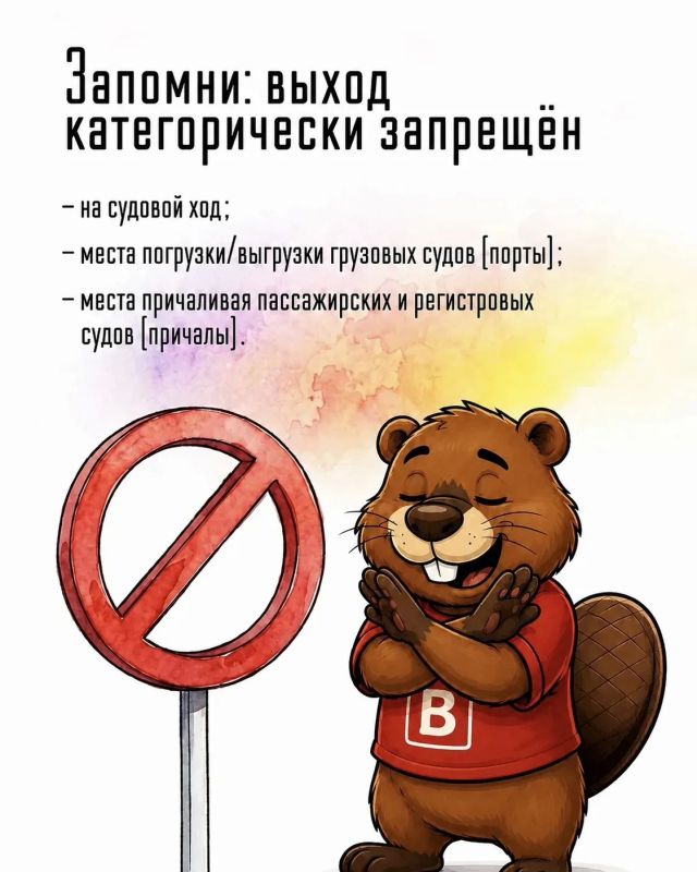 Грызь Гранитыч открывает для себя сапбординг! Грызь Гранитыч открывает для себя сапбординг!