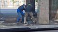 ����� ���������� ������ ��������, ��������������� � ����������� ������������