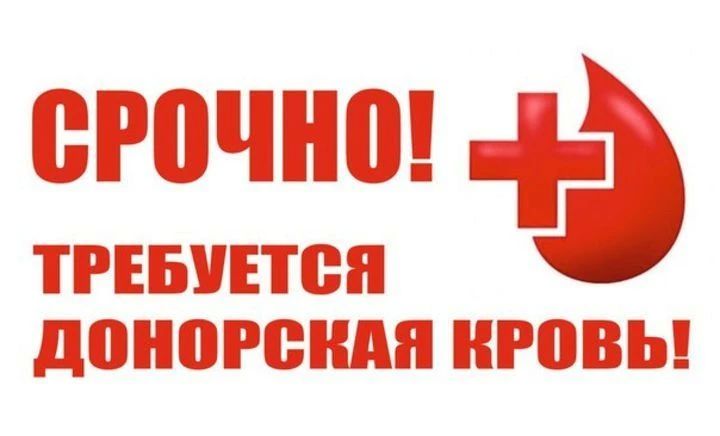 После атаки ВСУ в Воронеже объявили срочный сбор крови