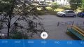 � �������� ����������� ��������� ��������� ���������� �����������