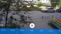 Серийный вор велосипедов попал на видео в Воронеже