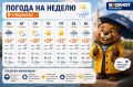 ������, ����� � +32: ��� ����������� ������ ���������� �� �������� ������?