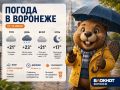 ������ 29 ����:. ���� +23, � ������� +21