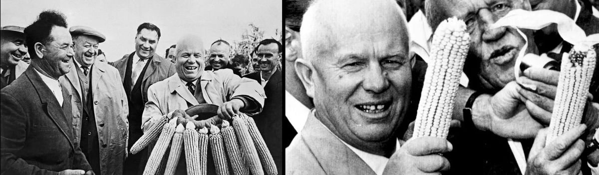 Кукуруза в России: как история и идеология сломали аграрный потенциал