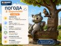 Погода на 2 июля. Изучаем и любуемся котенком с улицы Лизюкова