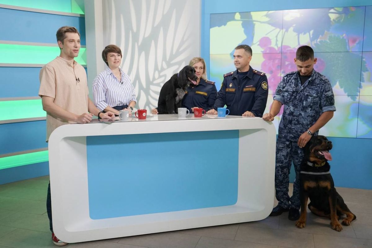 Профессионалы на службе, звезды в эфире: служебные собаки воронежского УФСИН стали гостями регионального телеканала Профессионалы на службе, звезды в эфире: служебные собаки воронежского УФСИН стали гостями регионального телеканала
