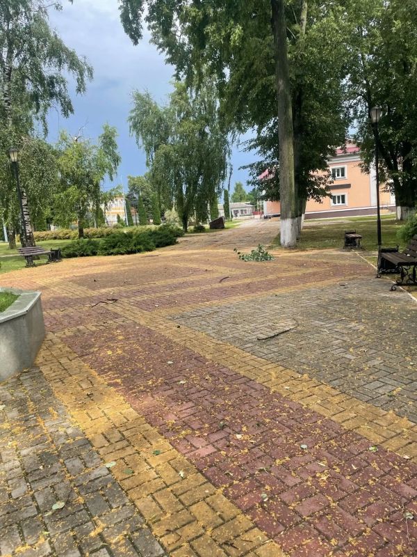 Сорванная ветром крыша и поваленные деревья – по Панино прошёлся настоящий ураган Сорванная ветром крыша и поваленные деревья – по Панино прошёлся настоящий ураган