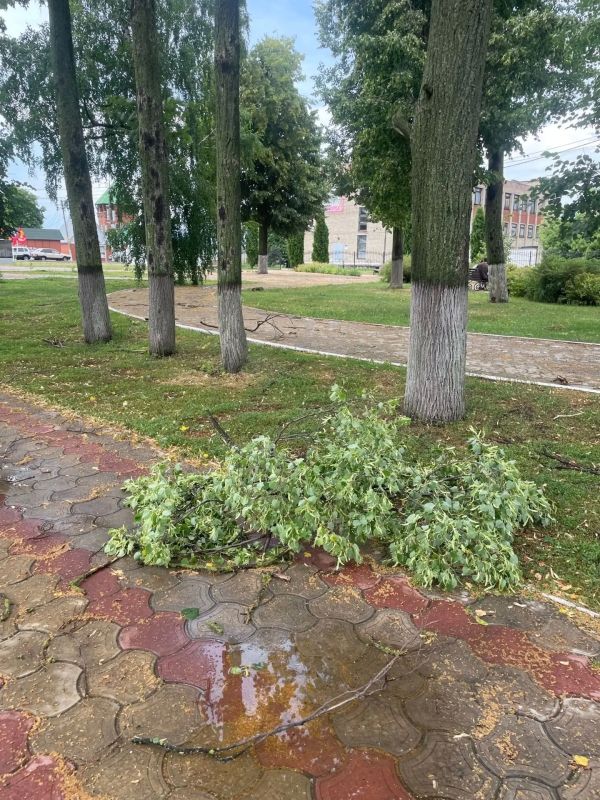 Сорванная ветром крыша и поваленные деревья – по Панино прошёлся настоящий ураган Сорванная ветром крыша и поваленные деревья – по Панино прошёлся настоящий ураган
