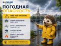 Желтый уровень опасности объявлен в Воронежской области из-за гроз и сильного ветра